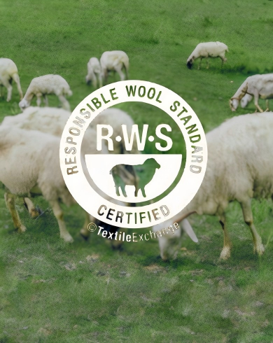 RWS